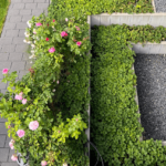 Keller-Bauhausvilla-Hamburg- Hummelsbüttel Keller-Bauhausvilla-Hamburg- Hummelsbüttel